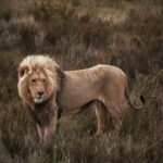 How Junior Programmers Can Work Smarter with AI