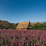 VPN Free Trial Checklist: 5 Critical Tests to Know If It’s Actually Worth Paying For