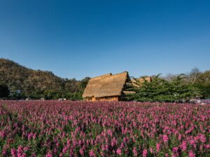 Read more about the article VPN Free Trial Checklist: 5 Critical Tests to Know If It’s Actually Worth Paying For