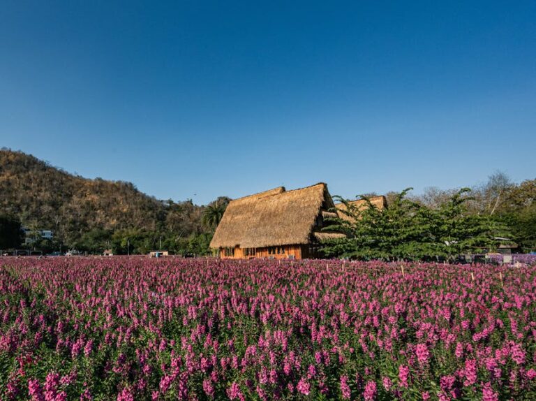 VPN Free Trial Checklist: 5 Critical Tests to Know If It’s Actually Worth Paying For