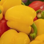 Rutgers University Nutrition Cognitive Study: Key Findings and Impact