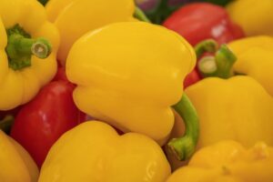 Read more about the article Rutgers University Nutrition Cognitive Study: Key Findings and Impact