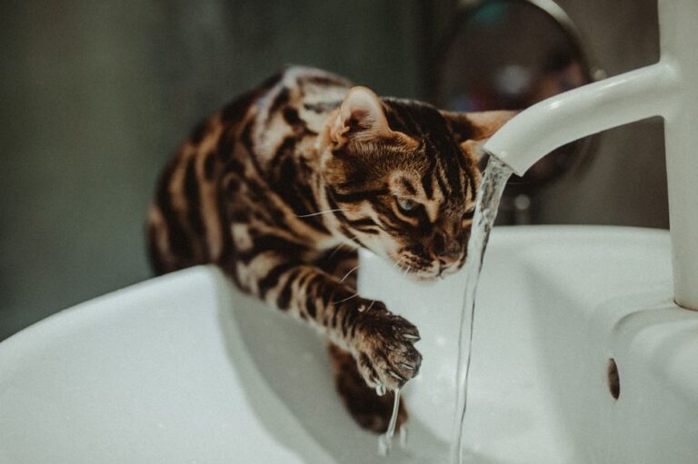 The Rise of Fallback Plumbing Solutions: What Plumbers and Homeowners Need to Know